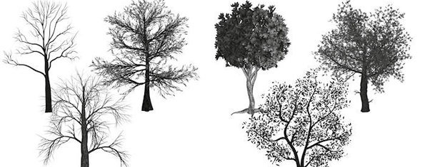 brush photoshop tree